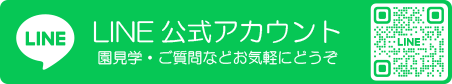 LINE公式アカウント
